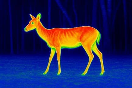 Infrared Radiation