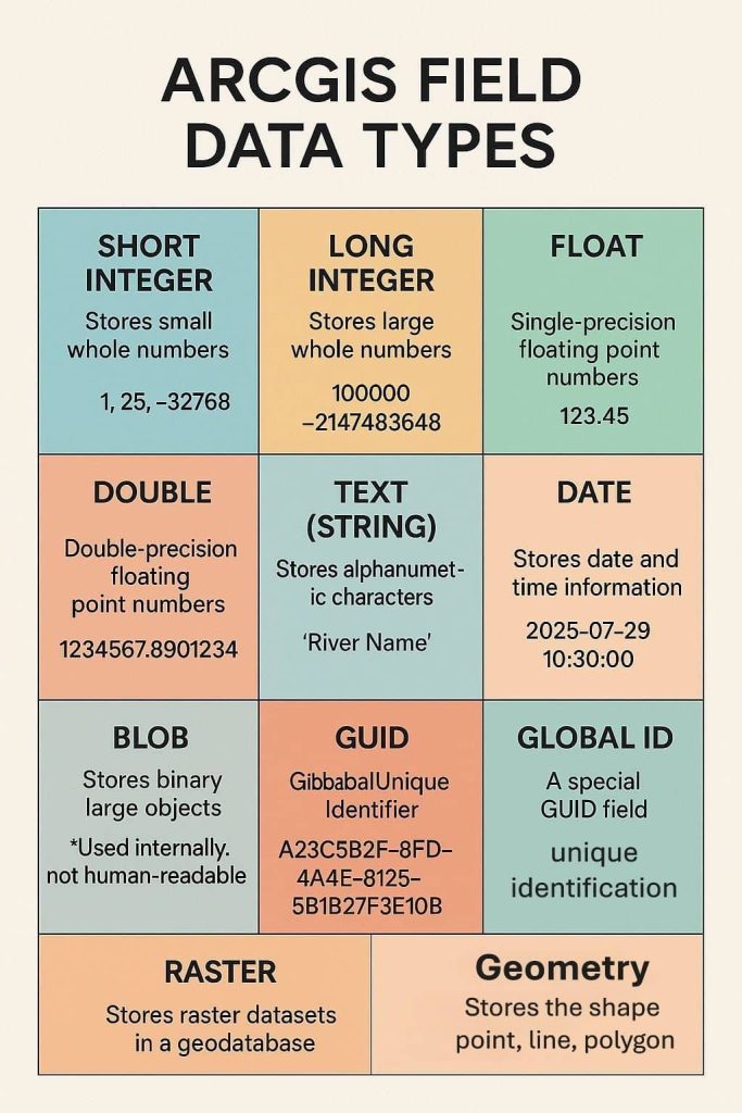 ArcGIS Field Data Types