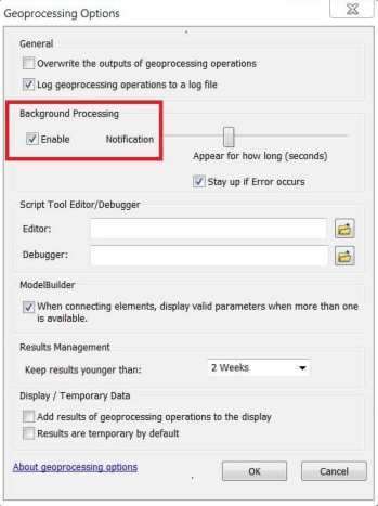 Geoprocessing Options window