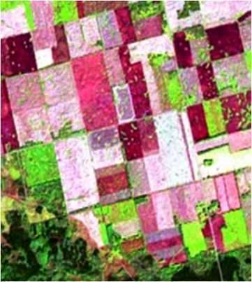 application of remote sensing Agriculture monitoring