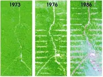 Remote Sensing Applications change detection