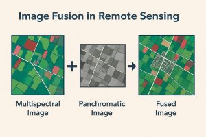 Image Fusion Techniques in Remote Sensing - GISRSSTUDY