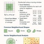 Neighborhood Analysis