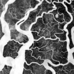 Remote Sensing Water Quality Index